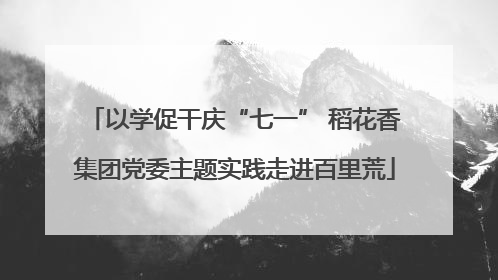 以学促干庆“七一” 稻花香集团党委主题实践走进百里荒