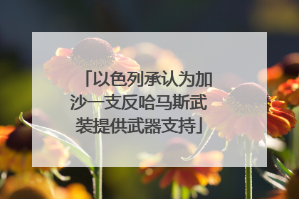 以色列承认为加沙一支反哈马斯武装提供武器支持