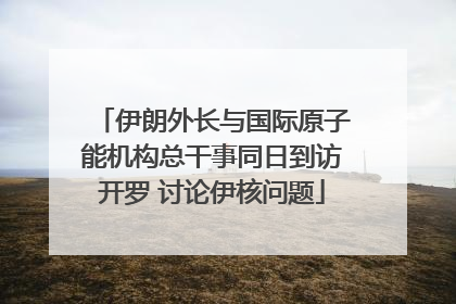 伊朗外长与国际原子能机构总干事同日到访开罗 讨论伊核问题