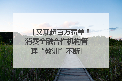 又现超百万罚单！消费金融合作机构管理“教训”不断