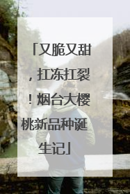 又脆又甜，扛冻扛裂！烟台大樱桃新品种诞生记