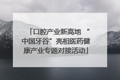 口腔产业新高地 “中国牙谷”亮相医药健康产业专题对接活动
