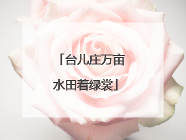 台儿庄万亩水田着绿裳