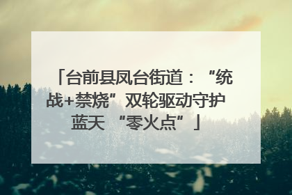 台前县凤台街道：“统战+禁烧”双轮驱动守护蓝天 “零火点”