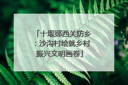 十堰郧西关防乡：沙沟村绘就乡村振兴文明画卷