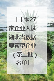 十堰27家企业入选湖北省数据要素型企业（第二批）名单