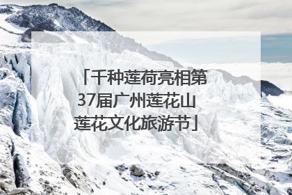 千种莲荷亮相第37届广州莲花山莲花文化旅游节