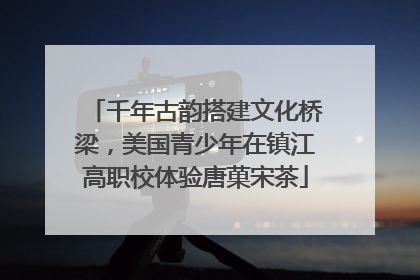 千年古韵搭建文化桥梁，美国青少年在镇江高职校体验唐菓宋茶