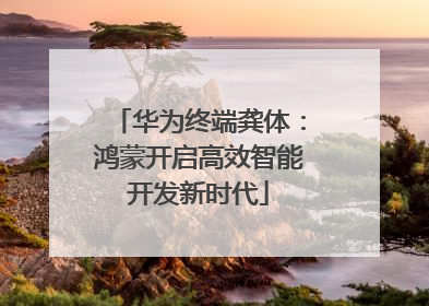 华为终端龚体：鸿蒙开启高效智能开发新时代