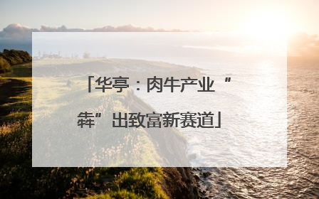 华亭：肉牛产业“犇”出致富新赛道