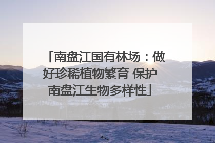 南盘江国有林场：做好珍稀植物繁育 保护南盘江生物多样性