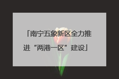 南宁五象新区全力推进“两港一区”建设