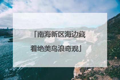 南海新区海边藏着绝美鸟浪奇观
