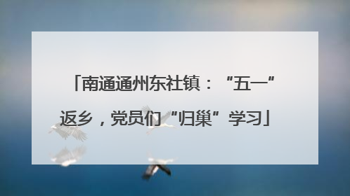 南通通州东社镇：“五一”返乡，党员们“归巢”学习