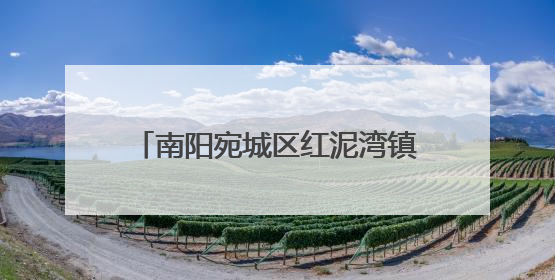 南阳宛城区红泥湾镇：“零距离”惠民宣讲 绘就民生幸福画卷