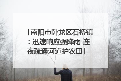 南阳市卧龙区石桥镇：迅速响应强降雨 连夜疏通河道护农田