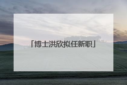 博士洪欣拟任新职