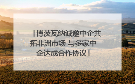 博茨瓦纳诚邀中企共拓非洲市场 与多家中企达成合作协议
