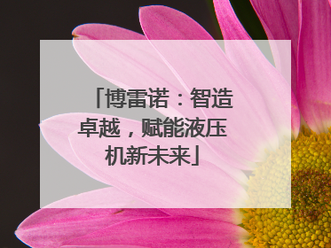博雷诺：智造卓越，赋能液压机新未来
