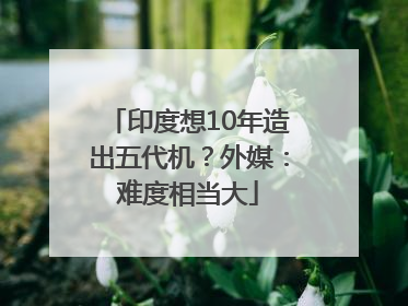 印度想10年造出五代机？外媒：难度相当大