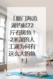 厦门海沧湖钓起72斤石斑鱼！2米深的人工湖为何有这么大的鱼？