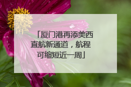厦门港再添美西直航新通道，航程可缩短近一周