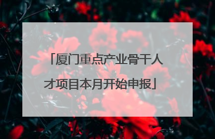 厦门重点产业骨干人才项目本月开始申报