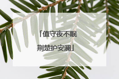 值守夜不眠 荆楚护安澜