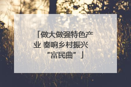做大做强特色产业 奏响乡村振兴“富民曲”