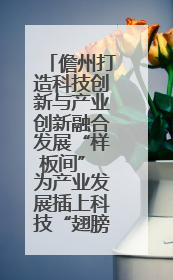 儋州打造科技创新与产业创新融合发展“样板间” 为产业发展插上科技“翅膀”