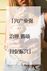 兴产业强治理 抓项目促振兴