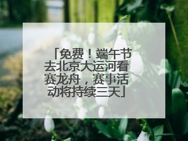 免费！端午节去北京大运河看赛龙舟，赛事活动将持续三天