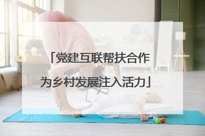 党建互联帮扶合作 为乡村发展注入活力