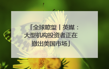 全球瞭望丨英媒：大型机构投资者正在撤出美国市场