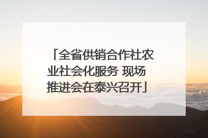 全省供销合作社农业社会化服务 现场推进会在泰兴召开