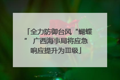 全力防御台风“蝴蝶” 广西海事局将应急响应提升为Ⅲ级