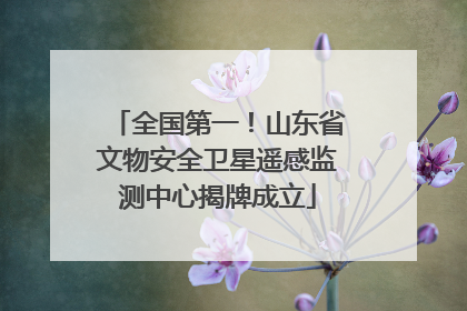全国第一！山东省文物安全卫星遥感监测中心揭牌成立