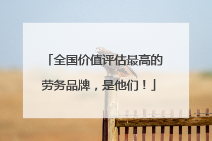 全国价值评估最高的劳务品牌，是他们！