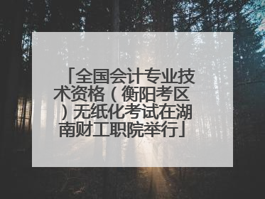 全国会计专业技术资格（衡阳考区）无纸化考试在湖南财工职院举行