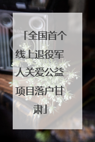 全国首个线上退役军人关爱公益项目落户甘肃
