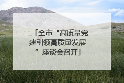 全市“高质量党建引领高质量发展”座谈会召开