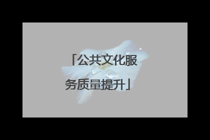 公共文化服务质量提升