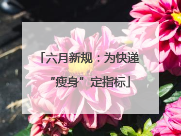 六月新规：为快递“瘦身”定指标