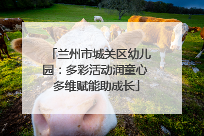 兰州市城关区幼儿园：多彩活动润童心 多维赋能助成长