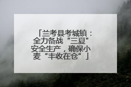 兰考县考城镇：全力备战“三夏”安全生产，确保小麦“丰收在仓”