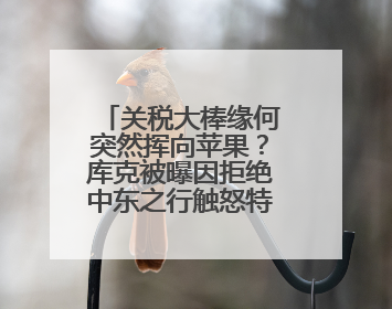 关税大棒缘何突然挥向苹果？库克被曝因拒绝中东之行触怒特朗普