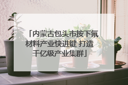 内蒙古包头市按下氟材料产业快进键 打造千亿级产业集群