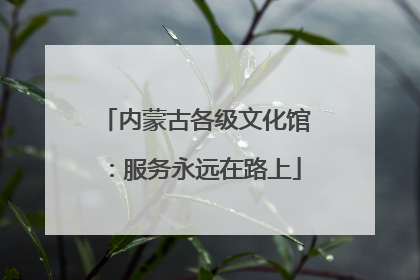 内蒙古各级文化馆：服务永远在路上