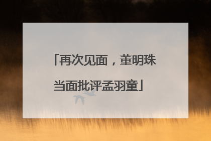 再次见面，董明珠当面批评孟羽童