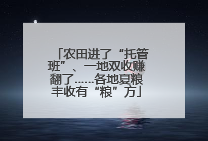 农田进了“托管班”、一地双收赚翻了……各地夏粮丰收有“粮”方